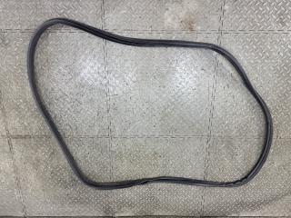 Уплотнение дверное NISSAN SKYLINE HNV37 VQ35HR 5 ракурс