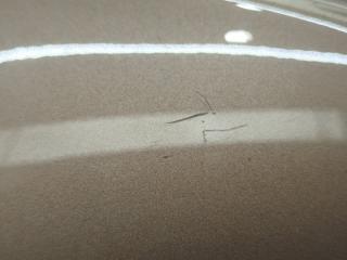 Зеркало левое переднее VOLVO V40 MV48 (MB4164T) B4164T 4 ракурс