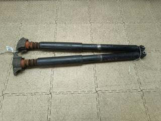 Амортизатор задний NISSAN LAFESTA CWFFWN PE-VPS C51428910 1 ракурс