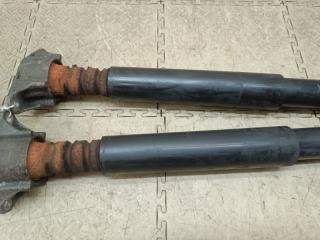 Амортизатор задний NISSAN LAFESTA CWFFWN PE-VPS C51428910 3 ракурс