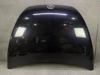 Капот VOLKSWAGEN BEETLE 5C1 CBZ 1 ракурс