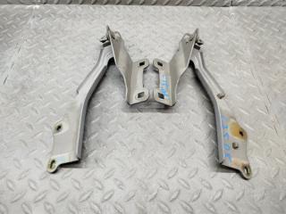Петля капота NISSAN SERENA C25 1 ракурс