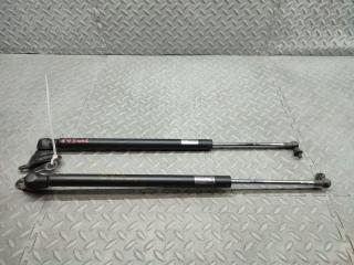 Амортизатор задней двери HONDA VAMOS HM1 E07Z 1 ракурс