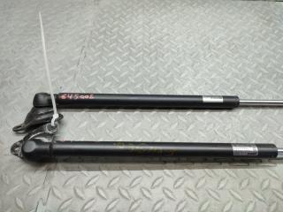Амортизатор задней двери HONDA VAMOS HM1 E07Z 2 ракурс