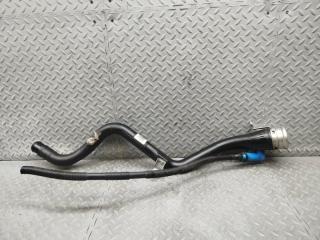 Горловина топливного бака BMW X1 E84 N46B20BD 7207399 2 ракурс