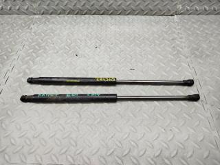 Амортизатор капота LAND ROVER DISCOVERY L319 406PN 8H22-16E610-AA 1 ракурс