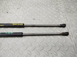 Амортизатор капота LAND ROVER DISCOVERY L319 406PN 8H22-16E610-AA 3 ракурс