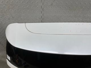 Дверь задняя задняя HONDA ODYSSEY RC1 K24W VTEC 68100T6AJ10ZZ 5 ракурс