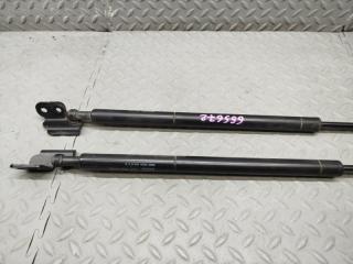 Амортизатор задней двери VOLVO XC60 DZ47 B4204T7 31335392 2 ракурс