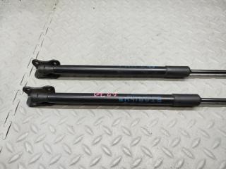 Амортизатор задней двери MAZDA MAZDA3 BP5P P5-VPS 424497 2 ракурс
