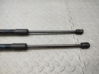 Амортизатор задней двери MAZDA MAZDA3 BP5P P5-VPS 424497 3 ракурс
