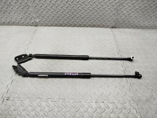 Амортизатор задней двери SUBARU LEVORG VM4 FB16ESZH9A 1 ракурс