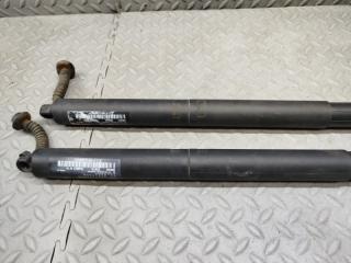 Амортизатор задней двери BMW 2-SERIES ACTIVE TOURER F45 B38A15A 7348523 2 ракурс