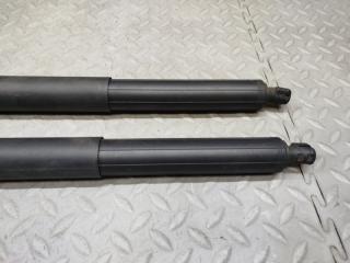 Амортизатор задней двери BMW 2-SERIES ACTIVE TOURER F45 B38A15A 7348523 3 ракурс