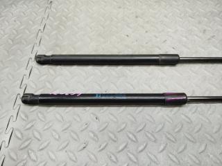 Амортизатор задней двери AUDI A4 8K5 CDN 8K9827552 2 ракурс