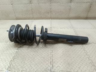 Стойка левая передняя BMW 3-SERIES E90 N43B20AA 3131678601101 1 ракурс