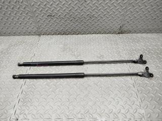 Амортизатор капота BMW I3 I01 W20K06A 1 ракурс Амортизатор капота BMW I3 I01 W20K06A 1 ракурс