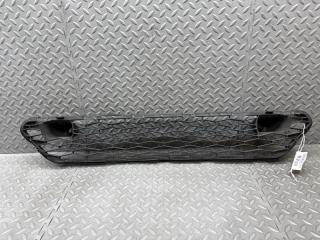 Решетка бамперная передняя NISSAN X-TRAIL HNT32 MR20DD 1 ракурс