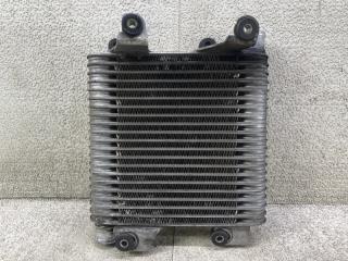 Интеркулер ISUZU BIGHORN UBS73GW 4JX1T 8971810921 2 ракурс Интеркулер ISUZU BIGHORN UBS73GW 4JX1T 8971810921 2 ракурс