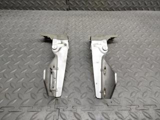 Петля капота RENAULT MEGANE EM F4R 011074 1 ракурс