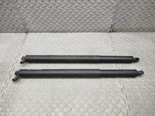Амортизатор задней двери BMW 2-SERIES ACTIVE TOURER F45 B47C20A 7348523AI-10 1 ракурс