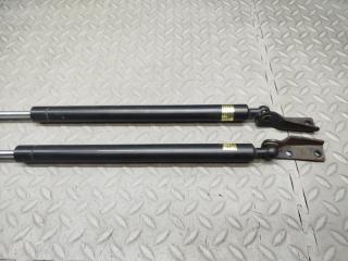 Амортизатор задней двери MITSUBISHI DION CR9W 4G63 GDI 2 ракурс