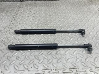 Амортизатор капота LAND ROVER RANGE ROVER L322 448PN 1 ракурс