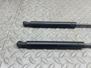 Амортизатор капота LAND ROVER RANGE ROVER L322 448PN 2 ракурс