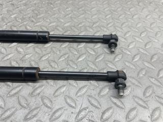Амортизатор капота LAND ROVER RANGE ROVER L322 448PN 3 ракурс