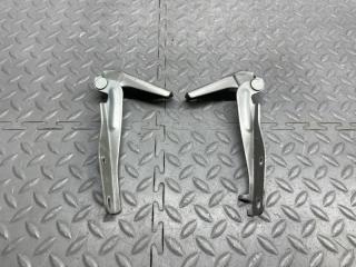Петля капота DAIHATSU ATRAI 7 S231G 1 ракурс