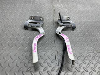 Петля капота TOYOTA PRIUS ZVW30 1 ракурс