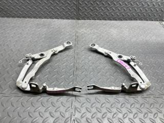 Петля крышки багажника BMW Z4 E85 14E8790410 1 ракурс