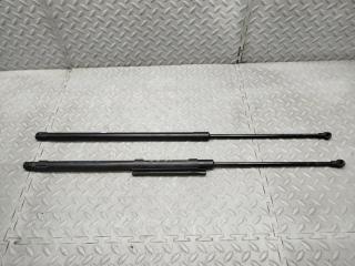 Амортизатор капота BMW Z4 E85 7016178-03 1 ракурс