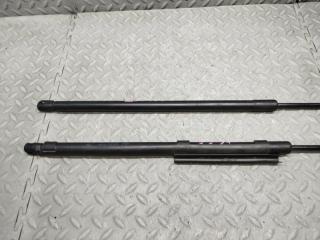 Амортизатор капота BMW Z4 E85 7016178-03 2 ракурс