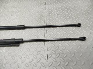 Амортизатор капота BMW Z4 E85 7016178-03 3 ракурс