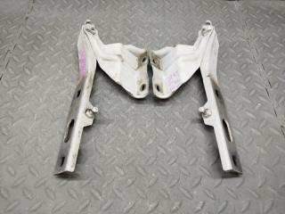 Петля капота AUDI Q5 8R CDN 8R0823302 1 ракурс