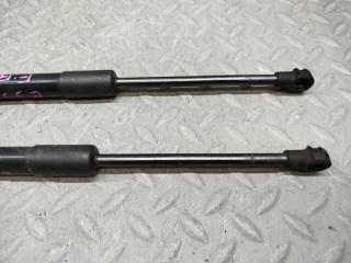 Амортизатор капота AUDI Q5 8R CDN 8R0823359A01S 3 ракурс
