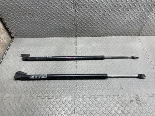 Амортизатор задней двери  NISSAN VANETTE SS28VN R2 ,S13062 620E ,S13062 620E 1 ракурс