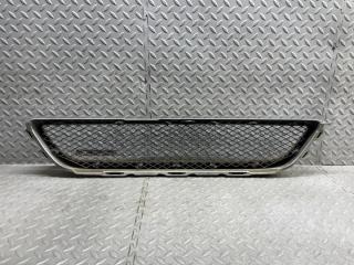 Решетка радиатора TOYOTA ALTEZZA SXE10 3S-GE BEAMS 4 ракурс