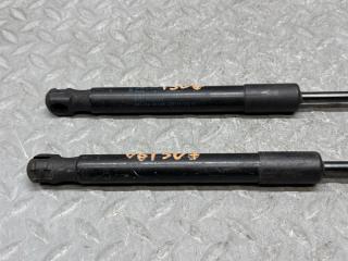 Амортизатор капота MINI COUNTRYMAN R60 51239802054 2 ракурс