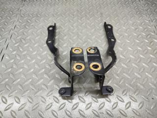 Петля капота TOYOTA PRIUS ZVW30 2 ракурс