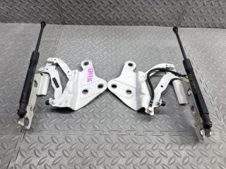 Петля капота BMW X1 E84 N52B30AE 2990360 1 ракурс