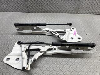 Петля капота BMW X1 E84 N52B30AE 2990360 3 ракурс