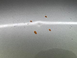 Капот NISSAN MARCH AK12 CR12DE F5100AX0MM 5 ракурс