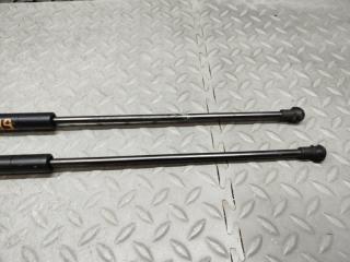 Амортизатор багажника NISSAN JUKE YF15 HR15DE 8950570270N 3 ракурс