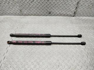 Амортизатор задней двери AUDI Q5 8R 8R082755203S 1 ракурс