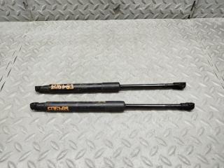 Амортизатор капота AUDI Q5 8R 8R0823359A01S 1 ракурс