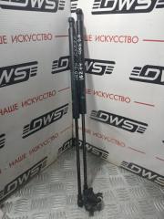 Амортизатор капота IS250 GSE25 4GR-FSE Амортизатор капота IS250 GSE25 4GR-FSE
