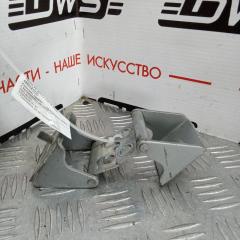 Петля двери багажника передняя Toyota BB 2010
