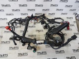 Запчасть Коса двс  NISSAN MARCH 240111HC5D Контрактный   .